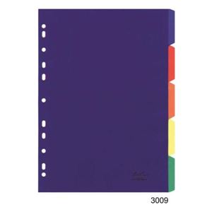 Picture of A4 Index 5 Tab Rainbow