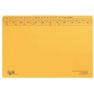 Picture of Tokai Foolscap Medium Weight File (15mm)